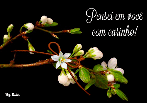 cart%C3%A3o-florzinha-branca-abrindo.gif