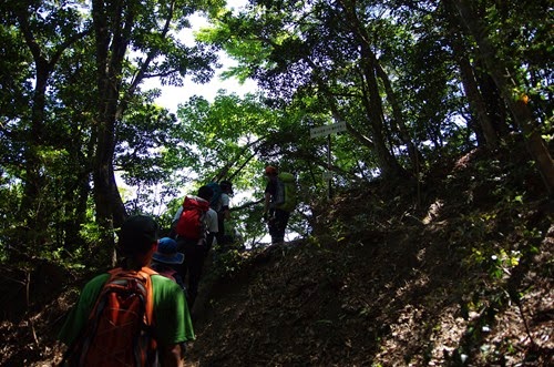 [140601733.jpg]