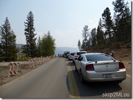 Sept 4, 2012: traffic stopped north of Tower Falls