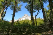 IMG_4410 IMG_4410