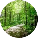 Image Google de Agathe Dominger