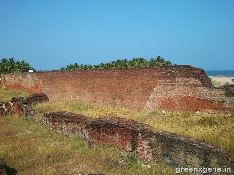 Dutch Fort - Posterior Wall
