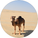 Image Google de Venus Schleich