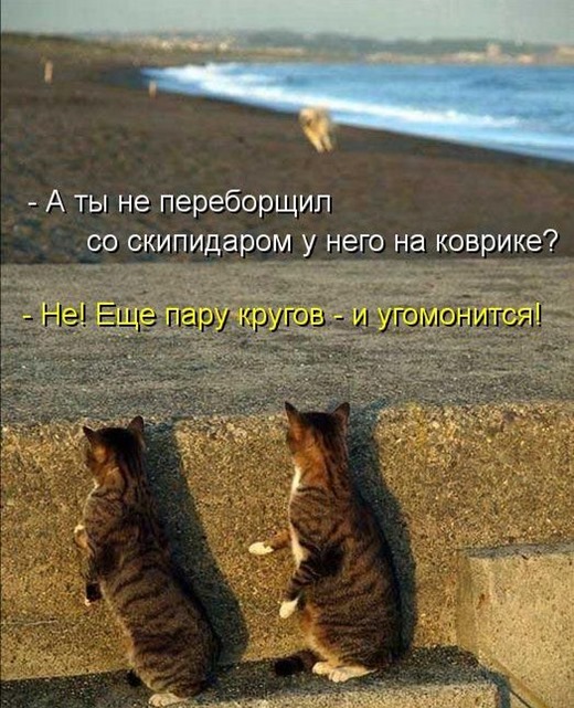 [6408bade06ac6de17dcbc648da4%255B3%255D.jpg]