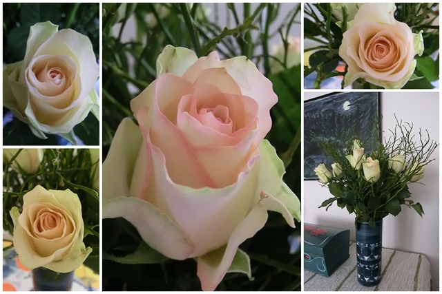 2013-03-20 roses
