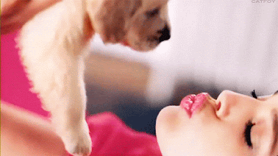 tumblr_m2m2uqerGX1r4mn88o1_500.gif