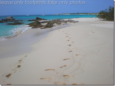 Take only photos, leave only footprints, Blanquilla