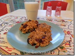 breakfast cookies - The Backyard Farmwife