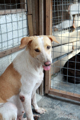 [IMG_0323%255B5%255D.jpg]