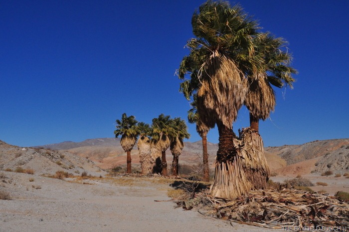 [DSC_0024%255B4%255D.jpg]