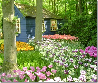Casa en campo florecido