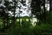 IMG_4471 IMG_4471