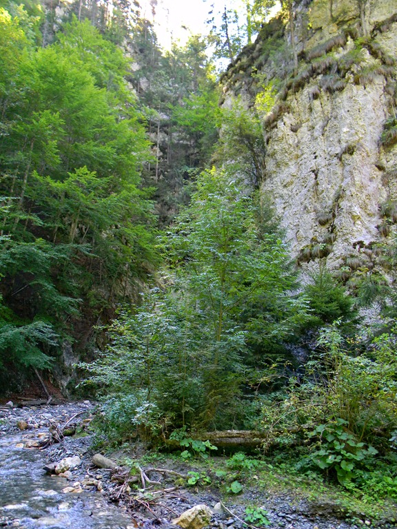 [DSCN50344.jpg]