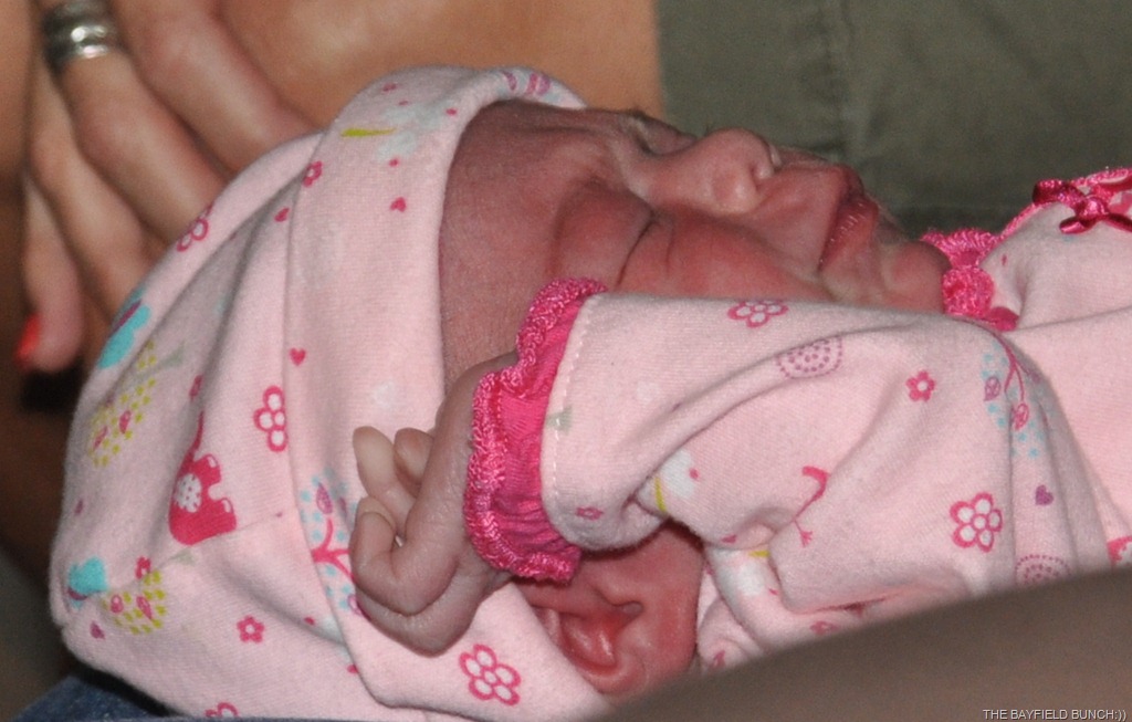 [DSC_0023%255B4%255D.jpg]