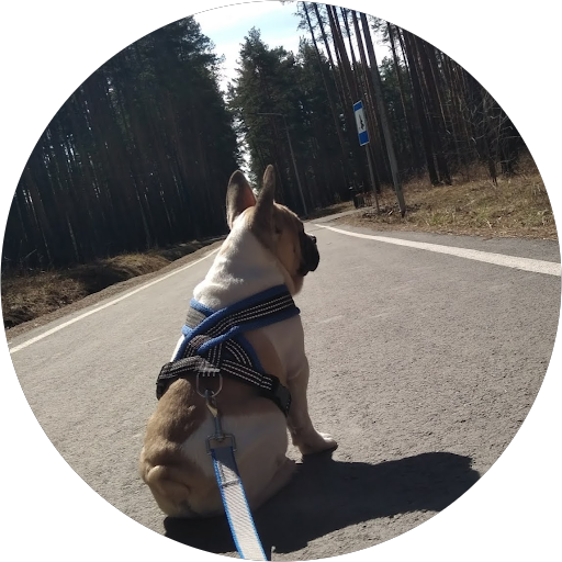 Светлана Фатеева