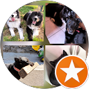 Image Google de Elodie B.