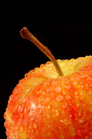 4280422531_1c986a9244