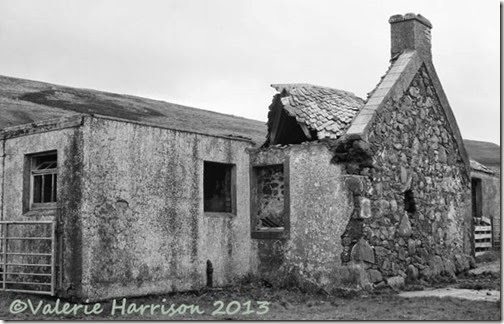 11-derelict-cottage