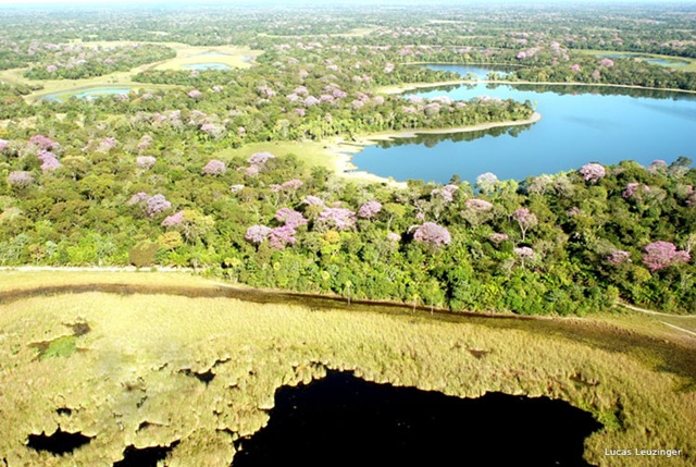 [pantanal2%2520%25281%2529%255B2%255D.jpg]