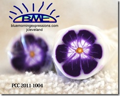 PCC-2011-1004