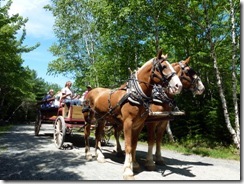 Carriage tour on the carriage roads
