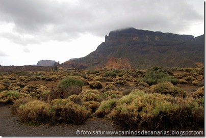 032 Cañadas del Teide 032 Cañadas del Teide