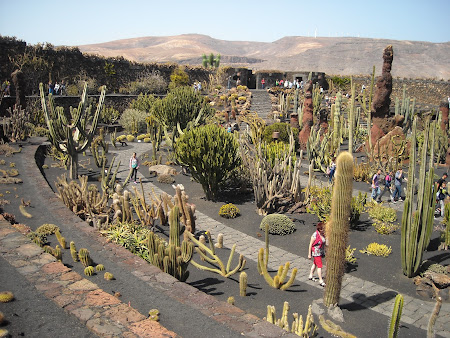 Jardin de Cactus Lanzarote, nu-i aşa că pare o pictură