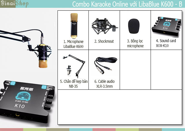 Combo micro hát karaoke online LibaBlue K600