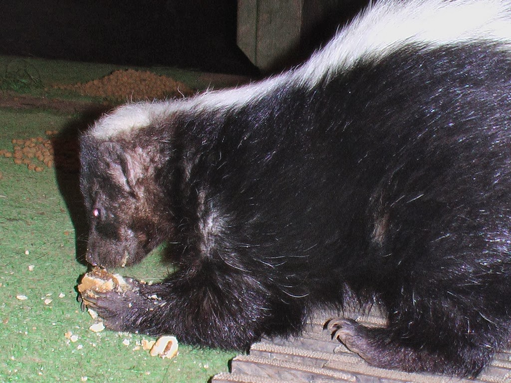 [Panasonic%2520025%255B3%255D.jpg]