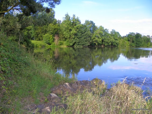 Loire au camping de Balbigny photo #869