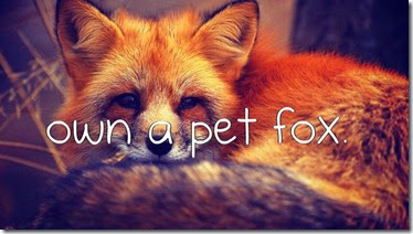 Bucket List - Own a Pet Fox