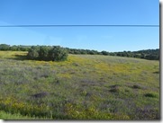 IMG_6536 IMG_6536