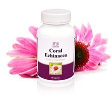 Coral Echinacea / Корал Эхинацея