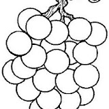normal_22-coloriage_fruit-1.jpg
