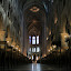 Paryż - Katedra Notre Dame