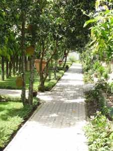 [Chitwan-National-Park-162171_156%255B2%255D.jpg]