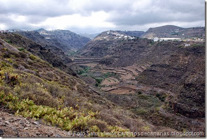 6667 Circular a Firgas-Ruta 4(Barranco Azuaje) 6667 Circular a Firgas-Ruta 4(Barranco Azuaje)