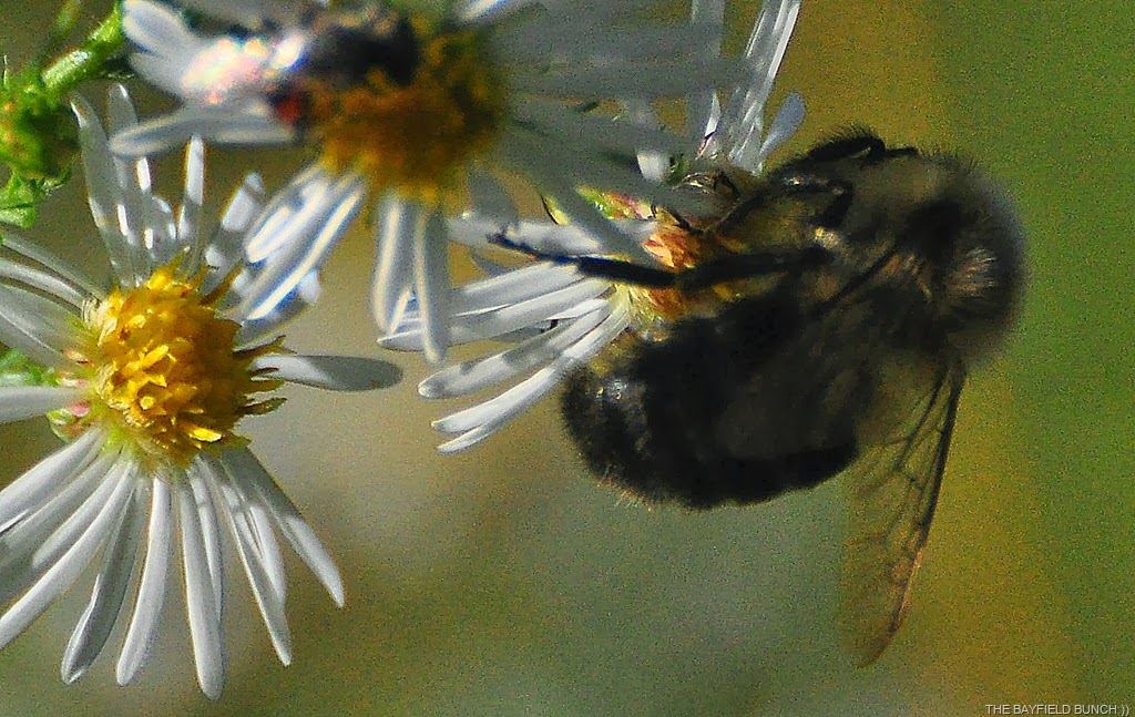 [DSC_0004%255B3%255D.jpg]