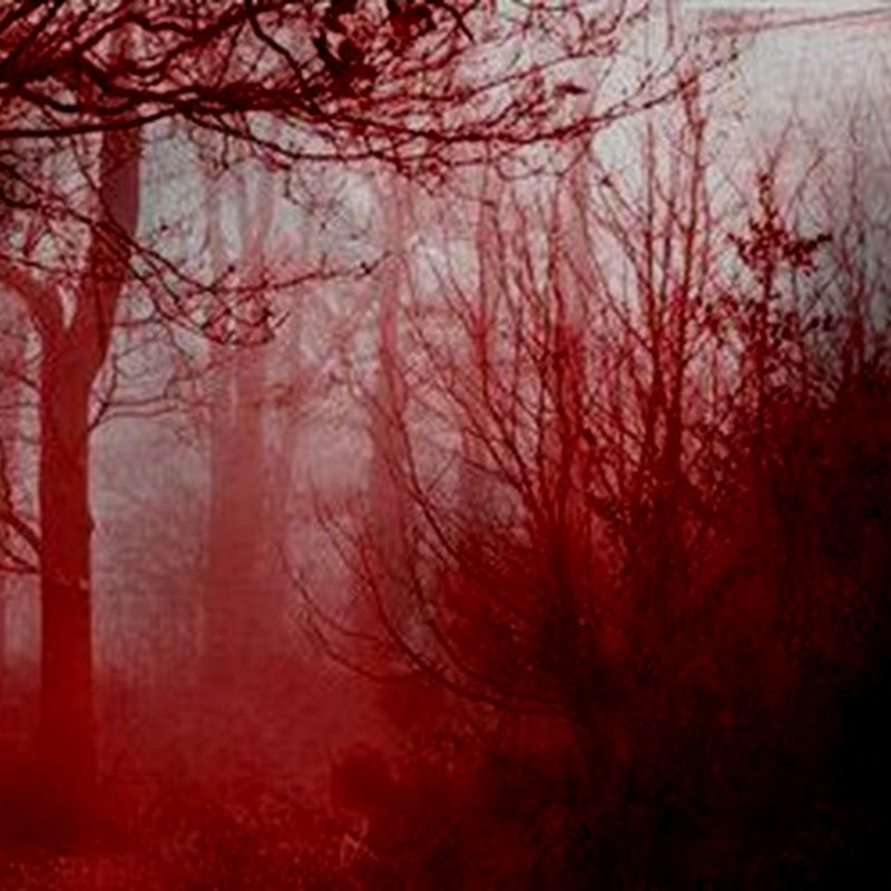 Загадка кровавого тумана