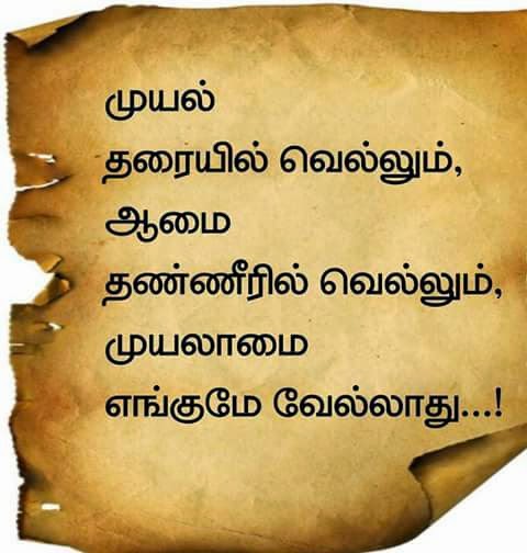 Today's inspirational Quote in Tamil | Chennai Fans Club