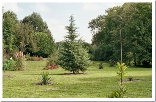 Hameau de LANNES, chez Vincent & Nadya: le jardin