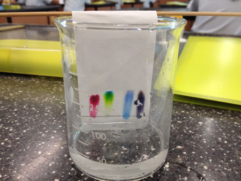 Jumping_Jellies: SIA PAPER CHROMATOGRAPHY PROJECT