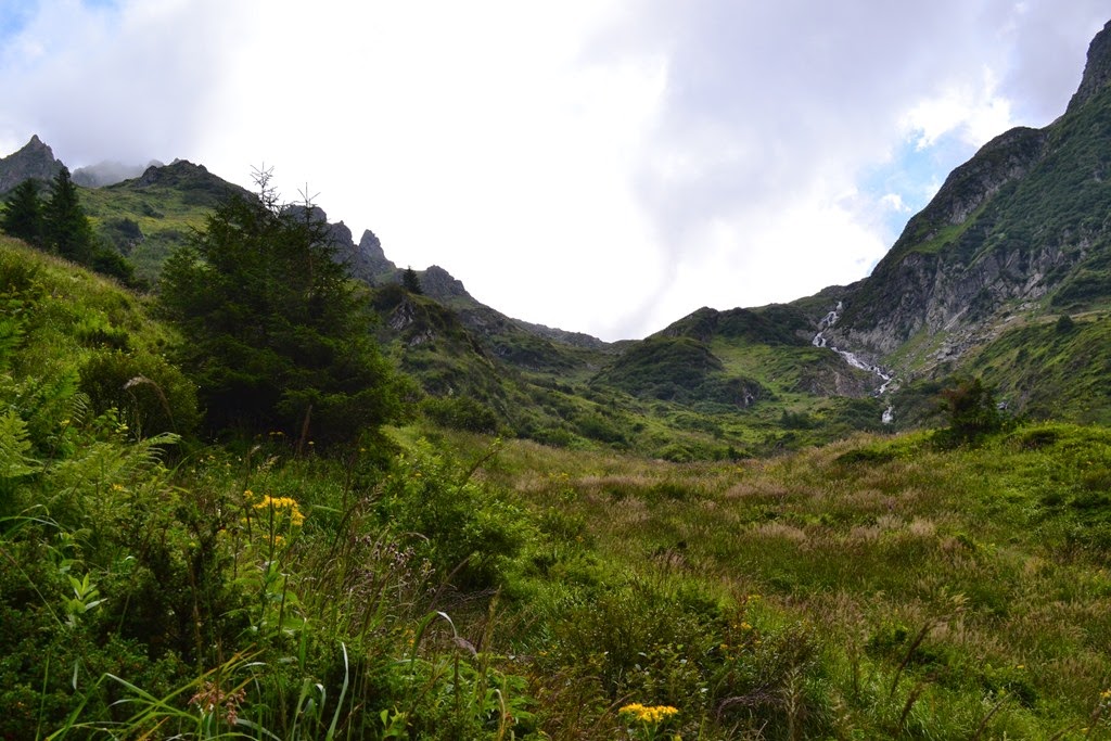 [DSC_35023.jpg]