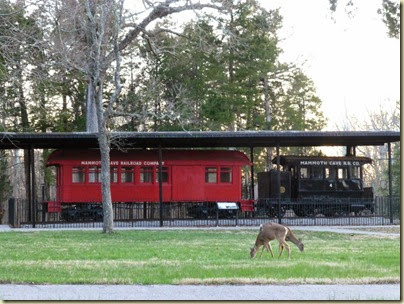 Mammoth Train and Deer
