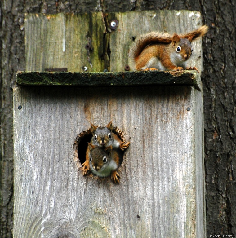 [DSC_3871%255B3%255D.jpg]