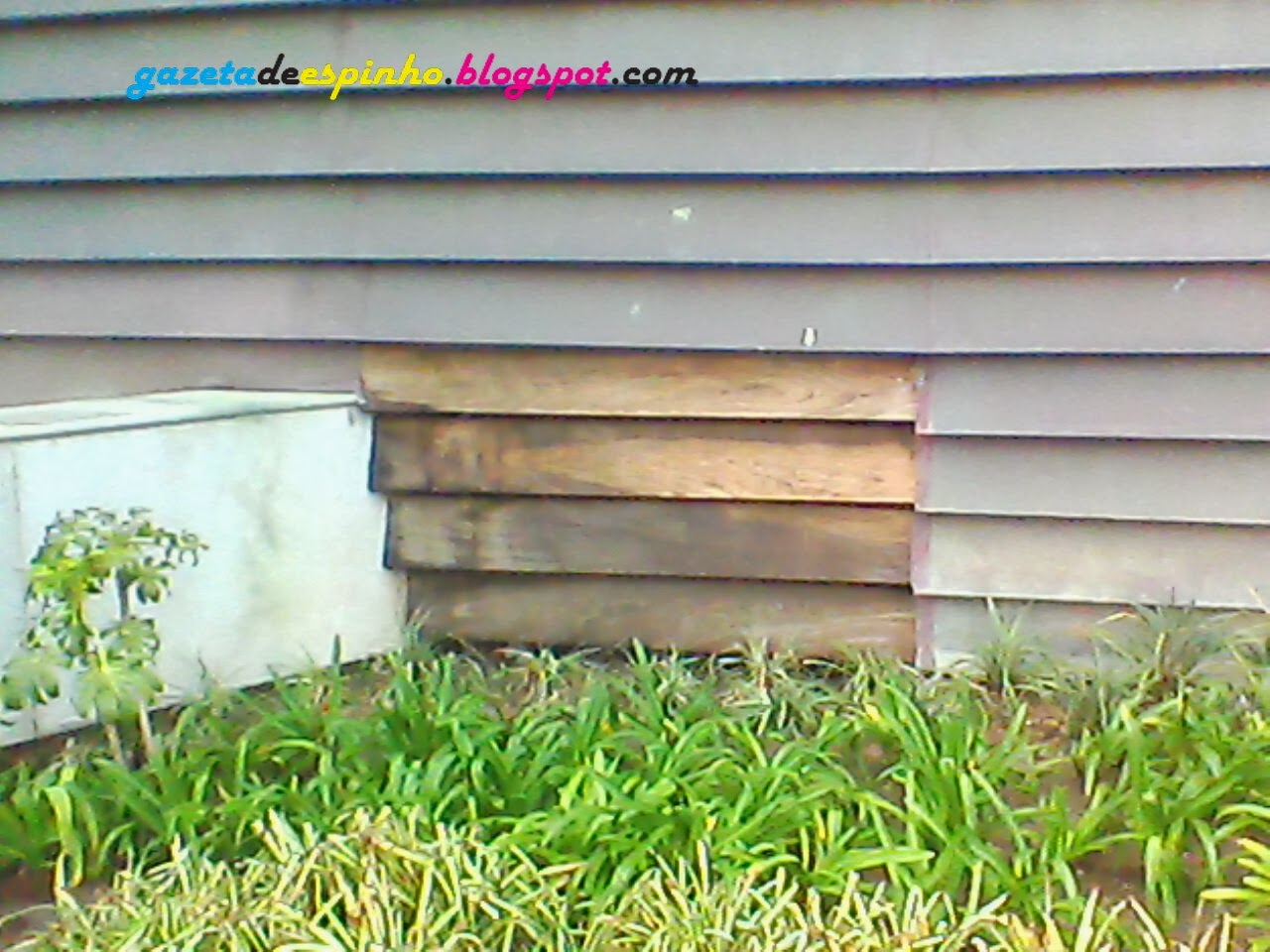 [Furtado%2520cobre%2520Centro%2520Multimeios%2520de%2520Espinho%255B6%255D.jpg]