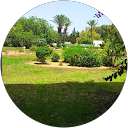 Image Google de Alison COLLA