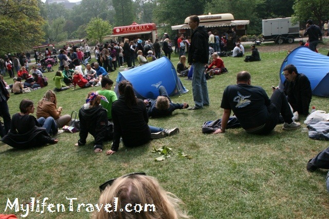 IMG_6871 IMG_6871