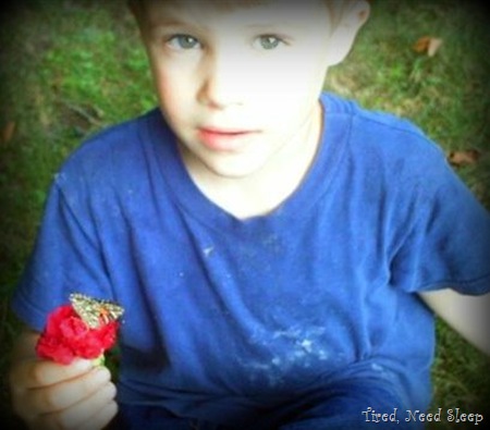M holding a butterfly on a flower, just before releasing it