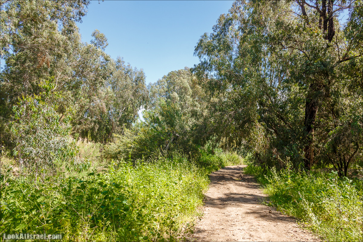 Песах в Долине Родников | Passover in Springs Valley| פסח בעמק המעיינות | LookAtIsrael.com - Фото путешествия по Израилю